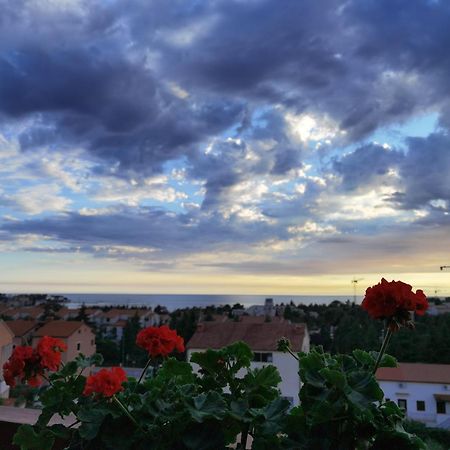 Apartment Diana بوريتش المظهر الخارجي الصورة