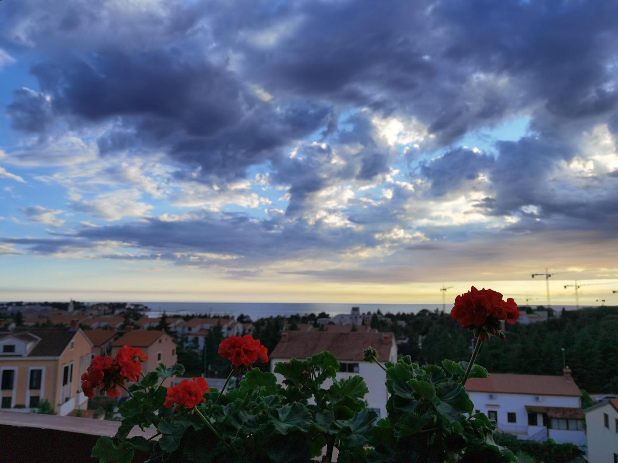 Apartment Diana بوريتش المظهر الخارجي الصورة